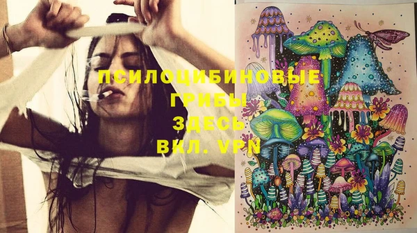 прущая мука Вязники