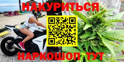 стаф Заводоуковск
