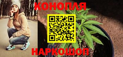 стаф Заводоуковск