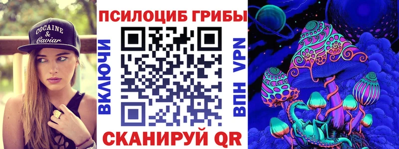 купить закладку  omg как зайти  Псилоцибиновые грибы Cubensis  Можга 
