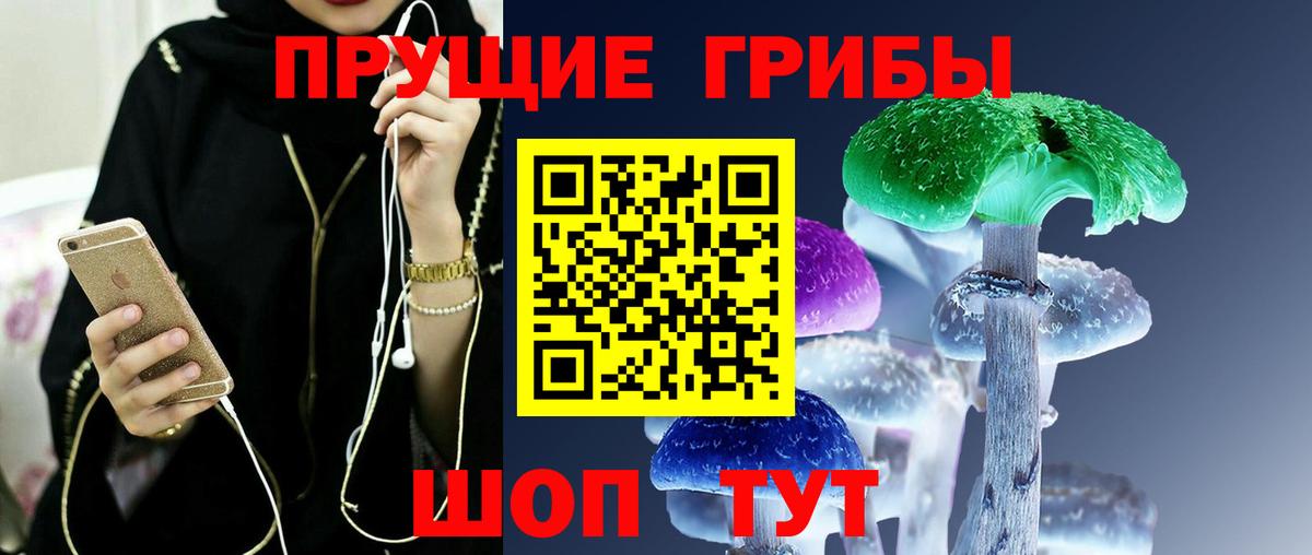 как найти наркотики  Вход с VPN  Можга  Галлюциногенные грибы MAGIC MUSHROOMS 
